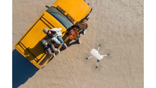 DJI Mini 2: Часто задаваемые вопросы
