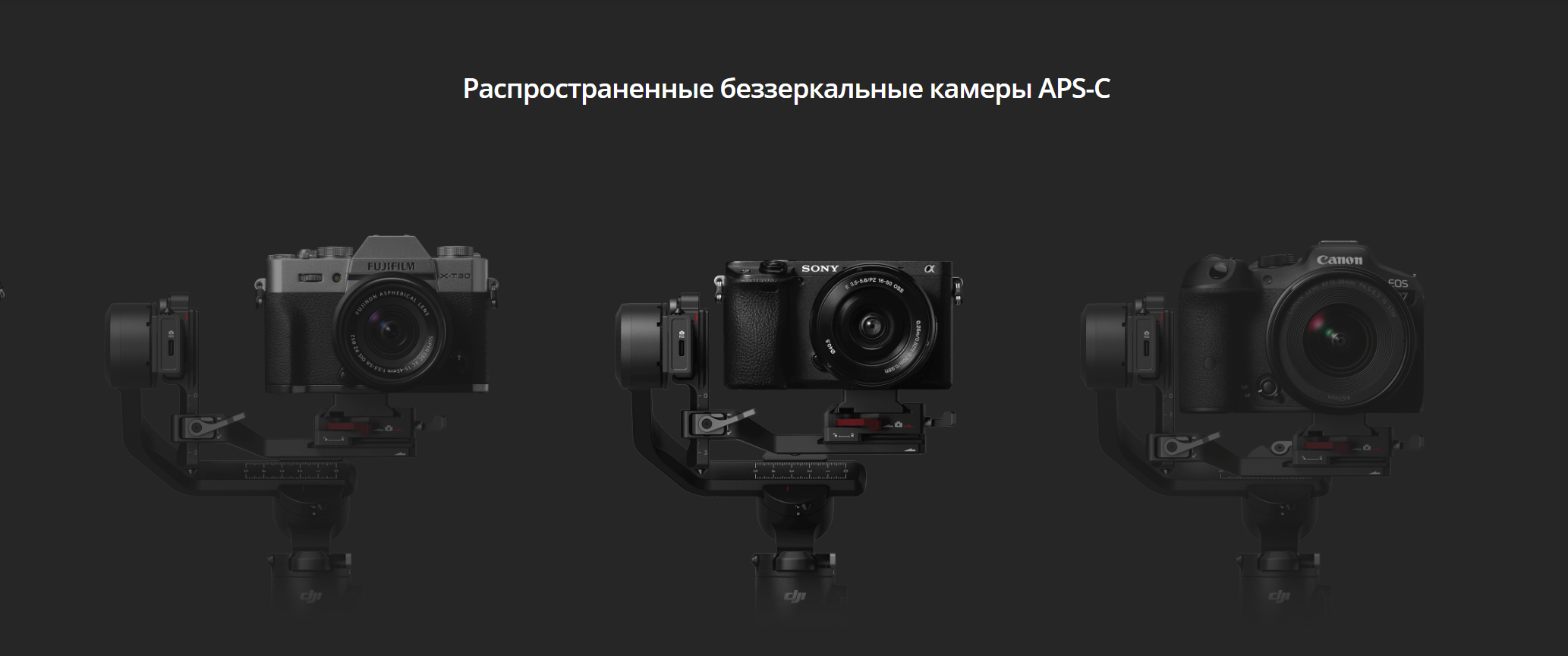 RS 3 Mini bezzerkalnie kameri APS-C
