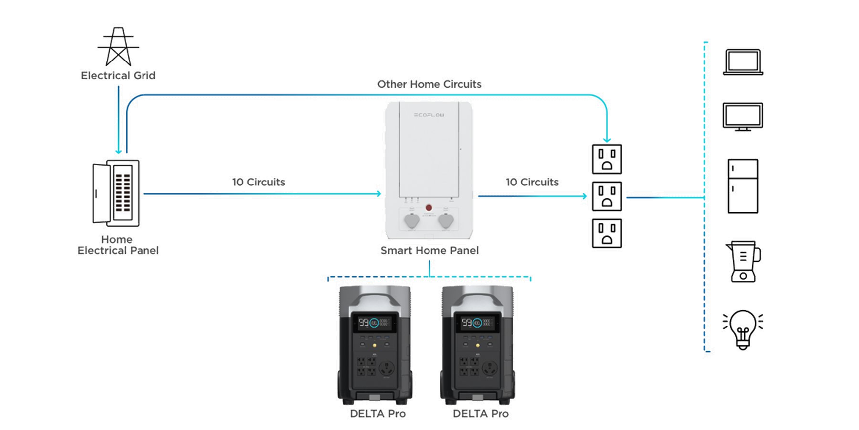 EcoFlow Delta Pro + Smart Home Panel