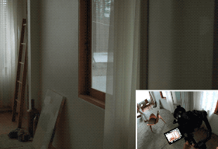 mativirovannoye dvizheniye camery dji rs 2