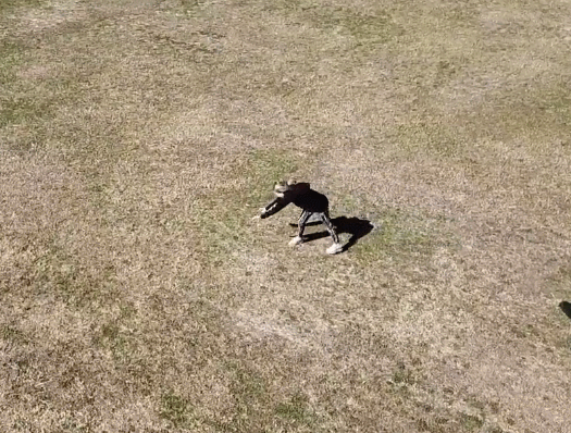 Slow motion Mavic Air