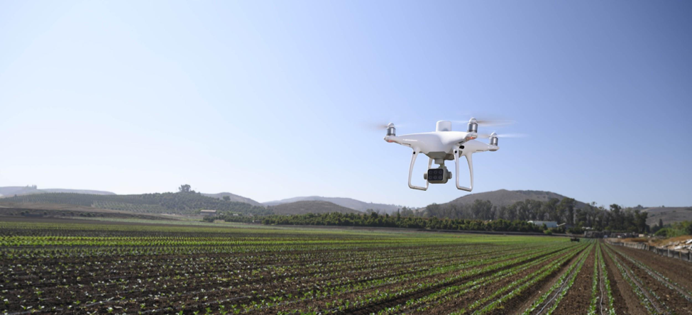 DJI Phantom 4 Multispectral
